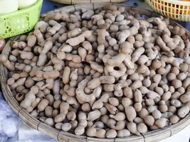 تصویر 1 از خرید و قیمت بادام هندی با پوست + فروش عمده